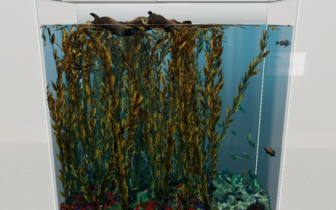 A tall glass case of giant kelp in clear green-blue water, lit from the surface, with sea otters resting at the top and fish among the fronds.