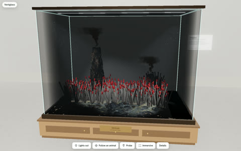 A black smoker chimney above a thicket of red-tipped giant tubeworms in a dark glass case.