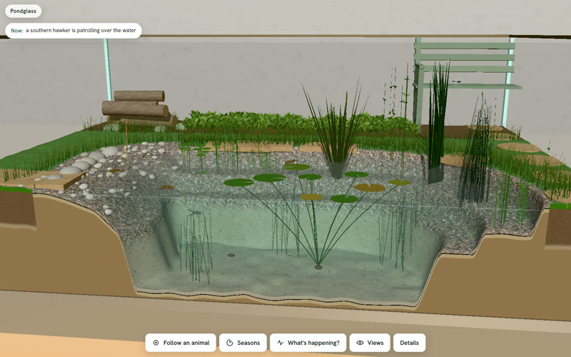 A wide glass case holding a clear garden pond with lily pads, a pebble beach, reeds, a log pile and a timber bench, cut away to show the water.