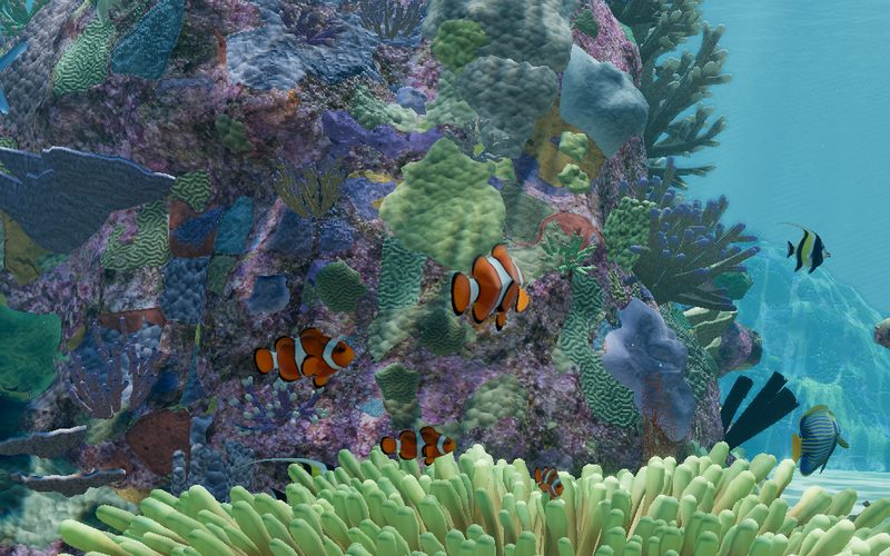 Ocellaris clownfish around a coral head, above the tentacles of a sea anemone, with a black-and-white striped reef fish in open water to the right.