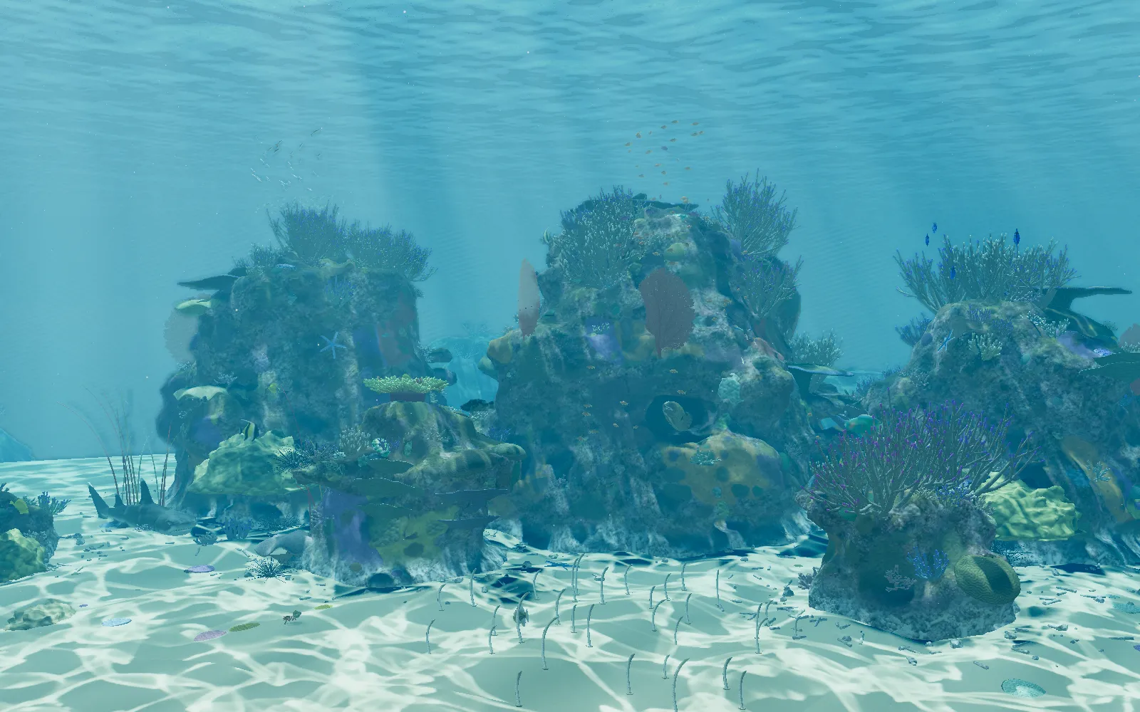 Reefglass underwater at midday: coral heads on rippled sand in clear blue water.